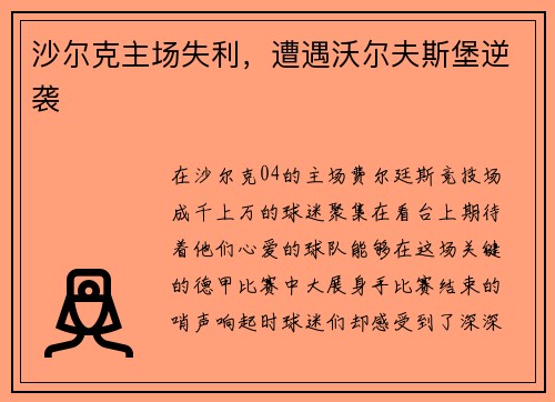 沙尔克主场失利，遭遇沃尔夫斯堡逆袭